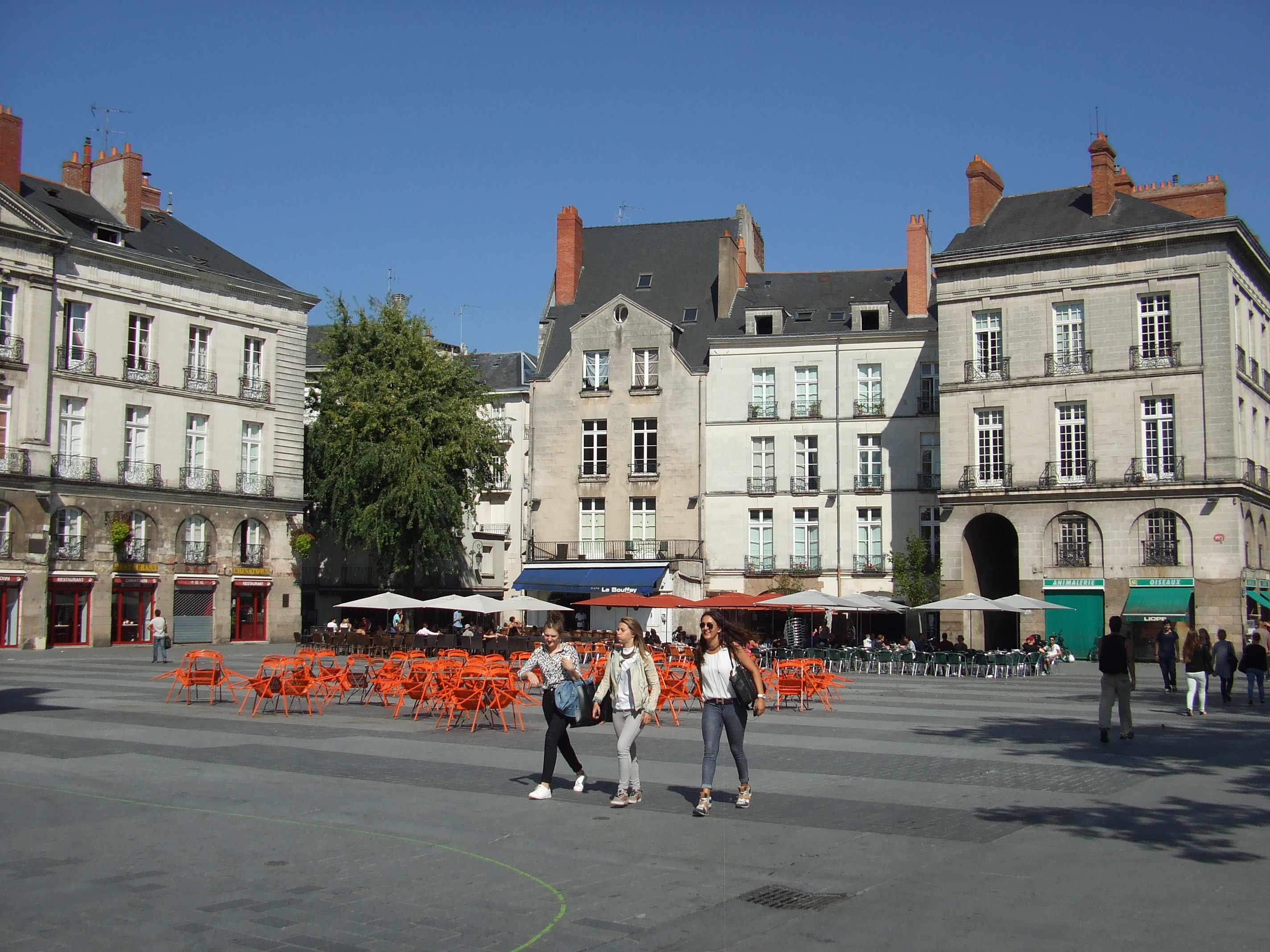 “Sale Blanc” : à Nantes, un homme lynché par une bande ethnique en pleine rue