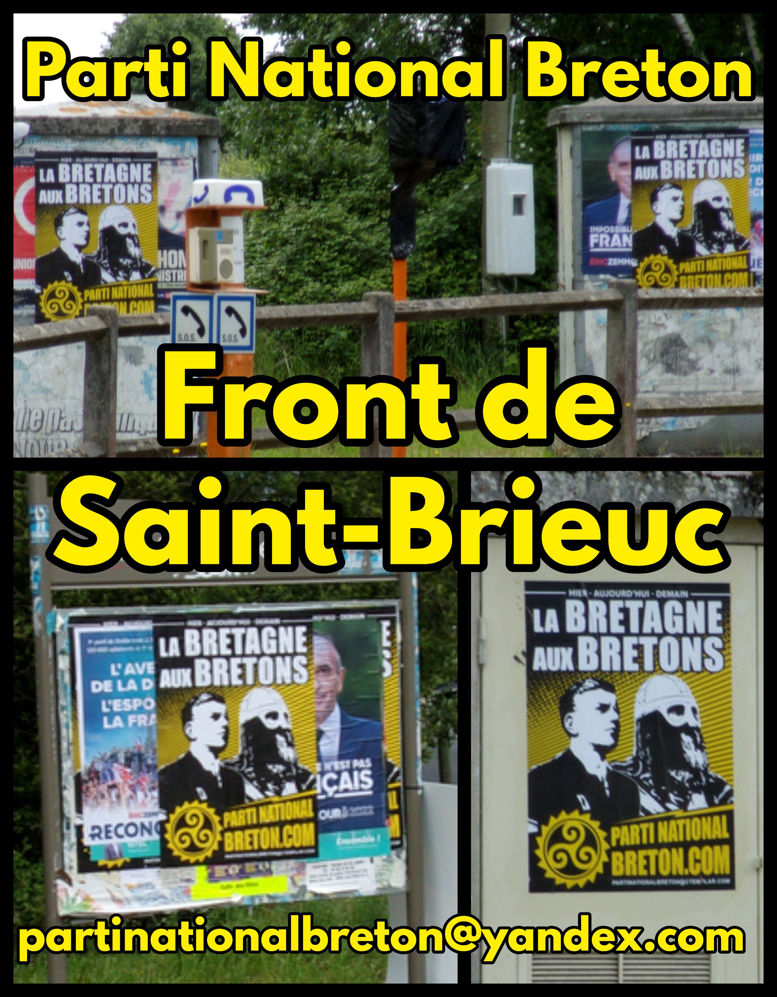 Saint-Brieuc : les militants du Parti National Breton sur le front !