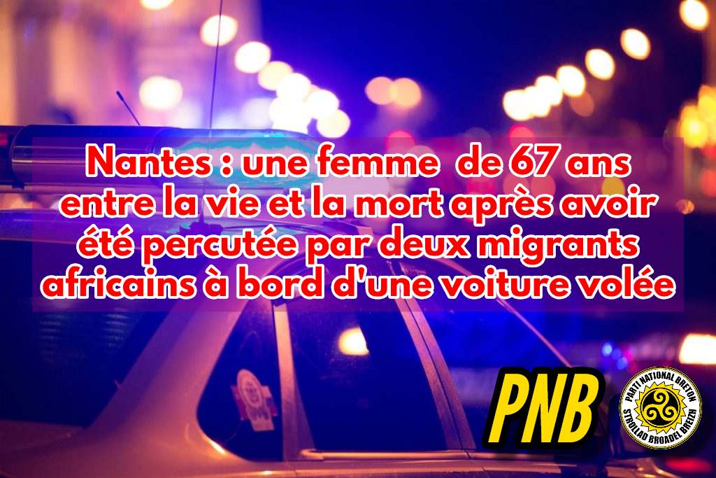 Nantes : une femme de 67 ans entre la vie et la mort après avoir été percutée par deux migrants clandestins du Maroc et du Tchad
