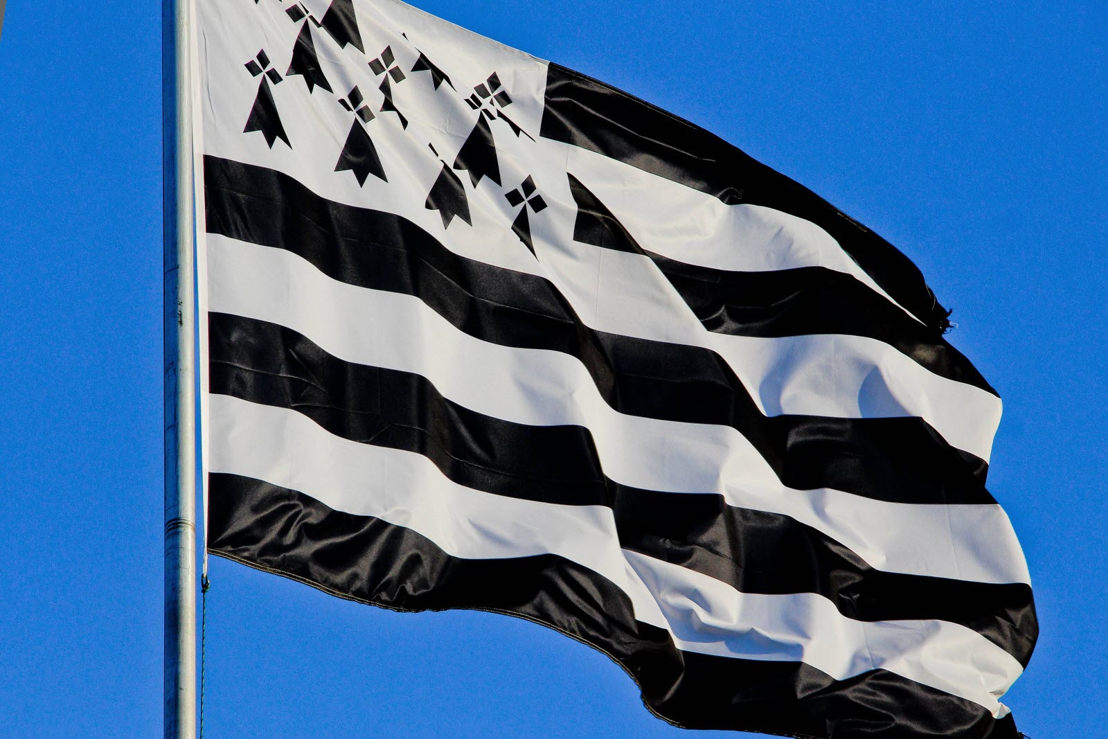Pays nantais, pays breton ! Le PNB dénonce l’appel colonialiste des élus macronistes à interdire le drapeau breton en Loire-Atlantique