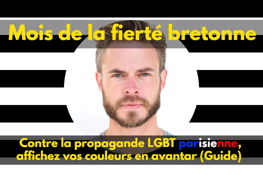 Stop à la propagande LGBTo-parisienne : affichez votre fierté bretonne sur les réseaux ! (Guide)